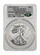 17762026-w Details Enhanced Uncirculated American Silver Eagle $1 Ase Cac Bell