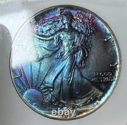 1987 American Silver Eagle MS70 PCI Monster Toner with Galaxy Blues & Purples