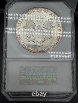 1987 American Silver Eagle MS70 PCI Monster Toner with Galaxy Blues & Purples