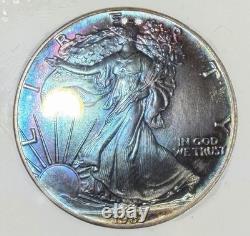 1987 American Silver Eagle MS70 PCI Monster Toner with Galaxy Blues & Purples