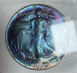 1987 American Silver Eagle MS70 PCI Monster Toner with Galaxy Blues & Purples