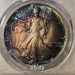 1987 S Toned American Silver Eagle $1 PCGS MS65 MONSTER Toning. Both Sides
