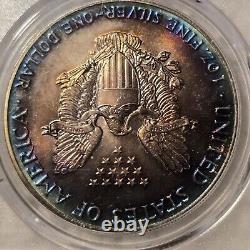 1987 S Toned American Silver Eagle $1 PCGS MS65 MONSTER Toning. Both Sides