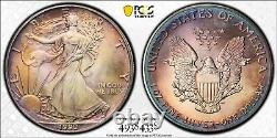 1990 MS68 American Silver Eagle Toned PCGS