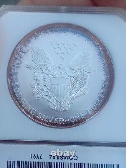 1994 American Silver Eagle PCI Rainbow Toned Ex. PCI Toning Key Date