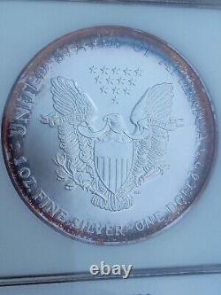 1994 American Silver Eagle PCI Rainbow Toned Ex. PCI Toning Key Date
