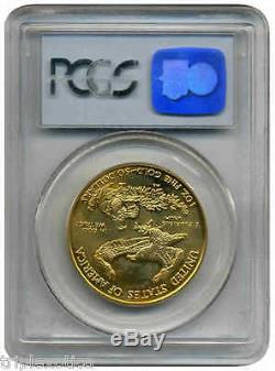 1994 PCGS MS66 $50 Gold Eagle Unique Gold $50 Mint Error Struck thru PLASTIC