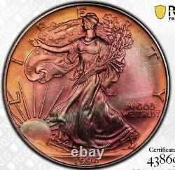 1994 PCGS MS68 Toned Silver Eagle Goldshield/Trueview