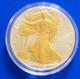 1995 American Silver Eagle 1oz. 999 Fine Silver 24k Gold Gilded Walking Liberty