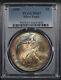 1998 American Silver Eagle Pcgs Ms-67 Obverse Rainbow Toning
