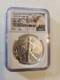 1 Oz Us Silver Eagle Coin Ngc Ms70