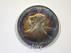 2001 American Silver Eagle Rainbow Vibrant Blue & Sunset Bullseye Toning! Wild