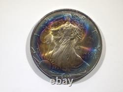 2001 American Silver Eagle Rainbow Vibrant Blue & Sunset Bullseye Toning! Wild