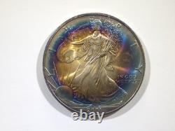 2001 American Silver Eagle Rainbow Vibrant Blue & Sunset Bullseye Toning! Wild