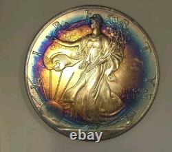 2001 American Silver Eagle Rainbow Vibrant Blue & Sunset Bullseye Toning! Wild