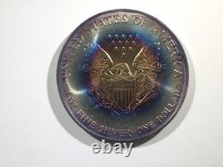 2001 American Silver Eagle Rainbow Vibrant Blue & Sunset Bullseye Toning! Wild