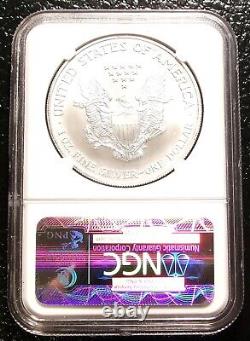 2002 Silver American Eagle NGC MS70 Classic Brown Label