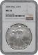 2005 American Silver Eagle One Dollar Coin Ngc Ms 70