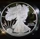 2007-w $1 American Dcam Proof Silver Eagle (pr-70 Est.) Us Mint Gvt. Pkg. & Coa