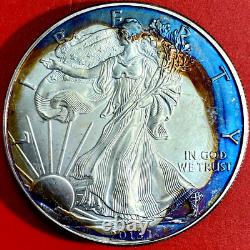 2010 & 2013 Lot Of Two American Silver Eagles Rainbow Toning