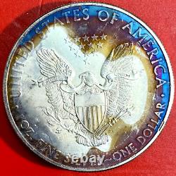 2010 & 2013 Lot Of Two American Silver Eagles Rainbow Toning