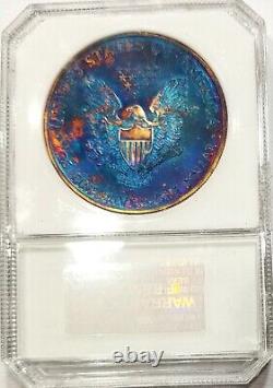 2011 Silver Eagle BU Bold 2 Sided Rainbow Color Toned Pattern Cool Coin