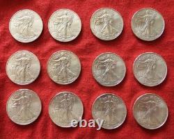 2013 (12) Uncirculated American Silver Eagle 1oz 0.999 Fine Silver Dollar Coins