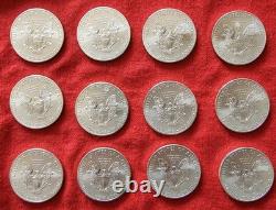 2013 (12) Uncirculated American Silver Eagle 1oz 0.999 Fine Silver Dollar Coins