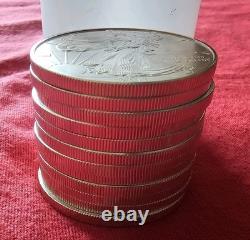 2013 (12) Uncirculated American Silver Eagle 1oz 0.999 Fine Silver Dollar Coins