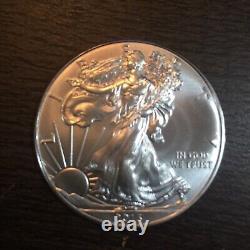 2013 American Silver Eagle (1 oz)1 Roll Twenty BU Coins in Mint Tube FREE SHIP