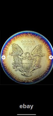 2015 American Silver Eagle Toning