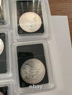 2015 silver eagles slab of 20