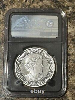 2019 Pride Of Two Nations Silver Eagle Rcm Set Ngc Pf70 Pf70 Mercanti Taylor Fdi