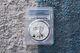 2019 S Enhanced Reverse Proof Silver Eagle Coin 19xe (pcgs Pr69), Mint Condition