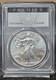 2020 American Silver Eagle Pcgs Ms70 Premier Label 1 Of 2000