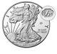 2020 American Silver Eagle V75 End Of Ww2 75th Anniv Coin Confirmed Mint Order