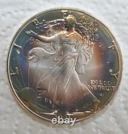 2021 Unc American Silver Eagle 1 Troy Oz. 999 Fine Silver Type 2 Beautiful Tone