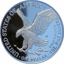 2021 W Mint Designer T2 Silver Eagle-PR70DCAM-Advance Release-Emily Damstra