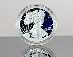 2021-W Type 2 Silver American Eagle PROOF PCGS proof 69 us mint