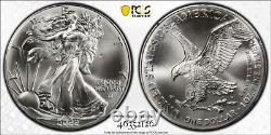 2022 American Silver Eagle, Strike Through PCGS MS-69 Mint Error