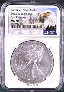 2022 w burnished silver eagle, ngc ms70 first releases, with coa, mtn, in hand