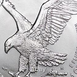 2023 Lot of (10) 1 Oz American Eagle Silver Bullion Coins Brilliant Uncirculated