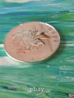 2023 Reverse Proof American Silver Eagle U. S. Mint Exact Mintage 891,250