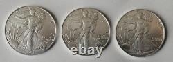 2024 American Silver Eagle 1 Oz. 1$ Coin Lot Of 3