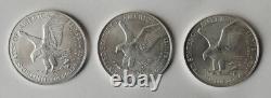 2024 American Silver Eagle 1 Oz. 1$ Coin Lot Of 3