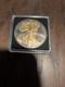 2024 American Silver Eagle 1oz Silver Ruthenium And Gold Finish/500