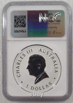 2024 Australia 1 oz Silver Wedge Tailed Eagle Colorized NGC MS70 FR Signed