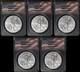 2024 Silver American Eagle $1 Anacs Ms70 5 Coin Lot Stock