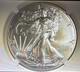 2024-w $1 1-oz Burnished American Silver Eagle Ngc Ms69. Beautiful Coin