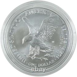 2024 W American Silver Eagle Uncirculated Bullion Burnished OGP COA